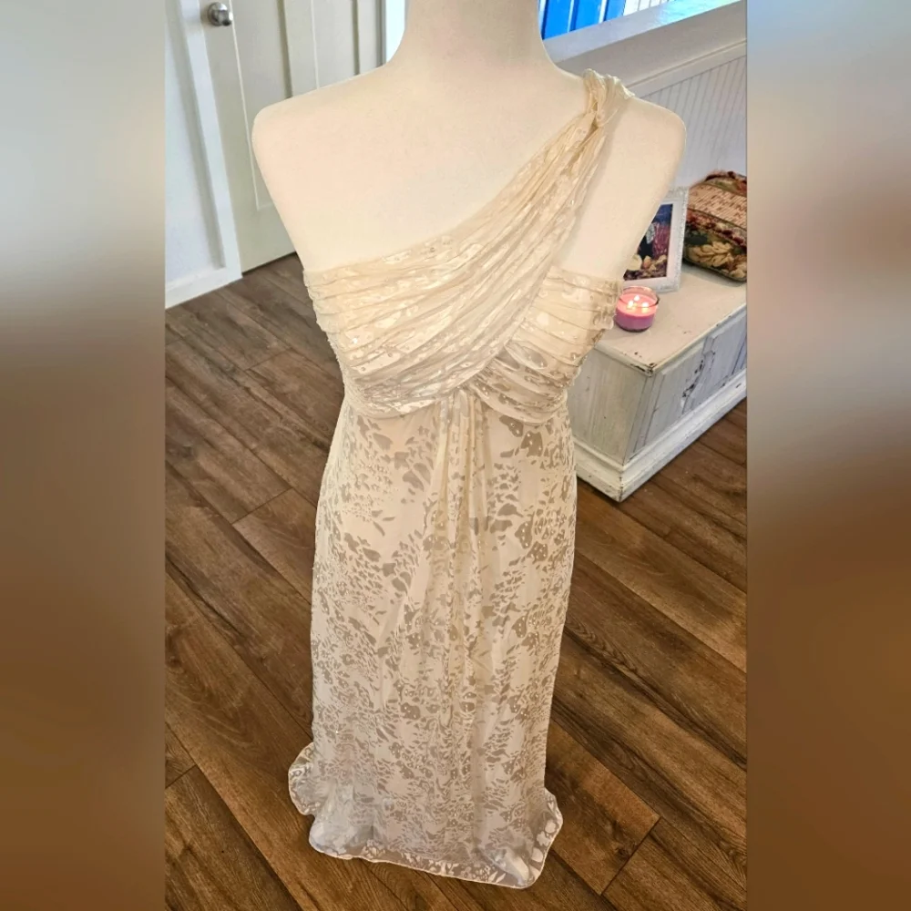 NWOT'S - ALEX EVENINGS - Cream White Floral Print On Shear- Size 4 - 2 piece set - Picture 2 of 11